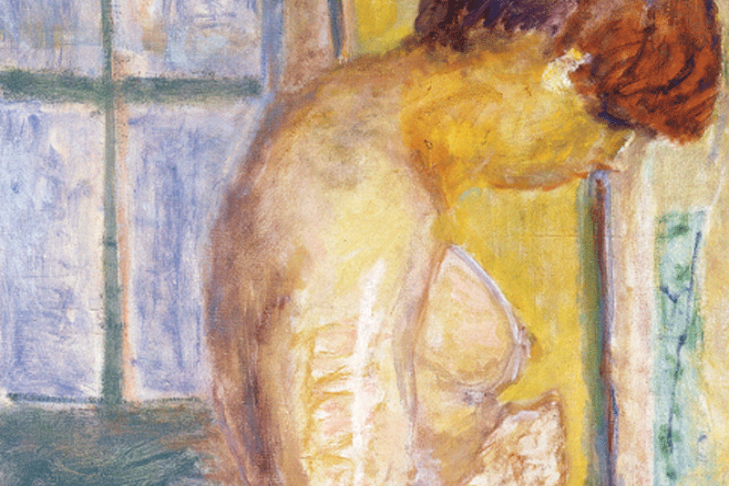 Pierre Bonnard - Nu de profil