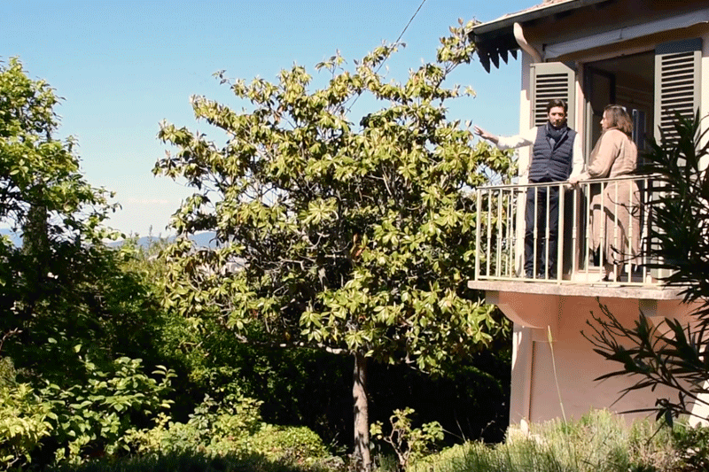 Le jardin de Bonnard