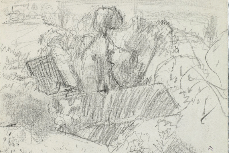 Pierre Bonnard - Le Cannet (La Fôret de pins)